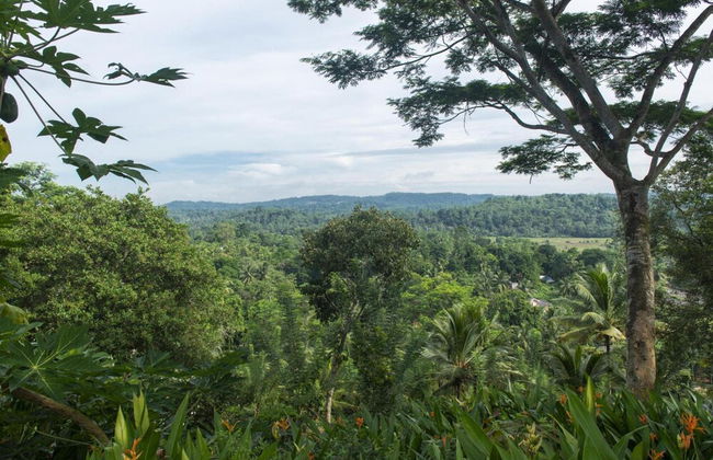 08 Acre Private Tea Estate Close To Galle - Foto 34