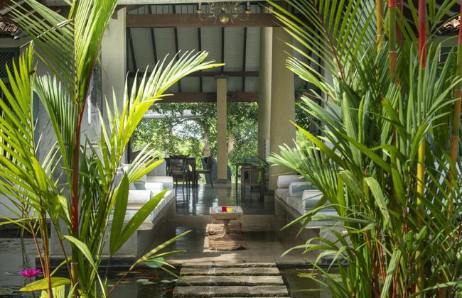 08 Acre Private Tea Estate Close To Galle - Foto 8