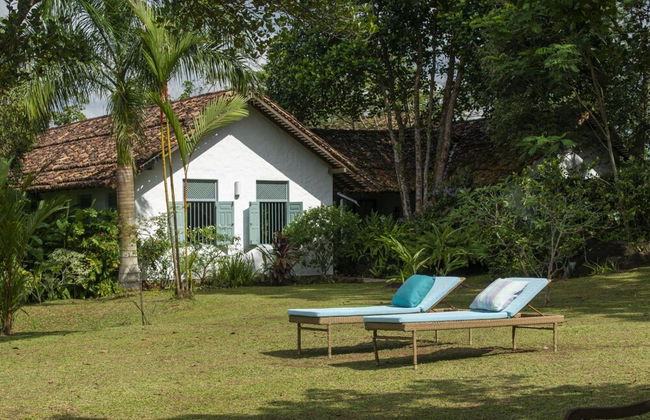 08 Acre Private Tea Estate Close To Galle - Foto 32