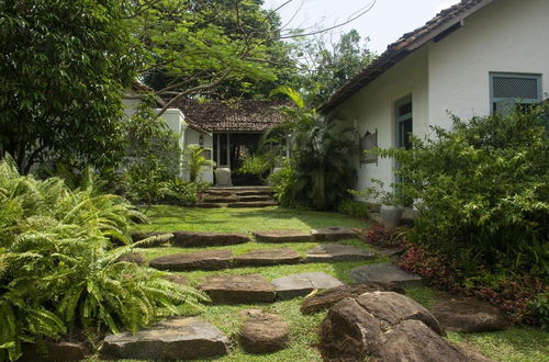 Photo 7 - 08 Acre Private Tea Estate Close To Galle