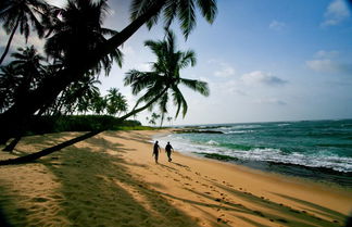 Photo 1 - Sustainably Designed Villa Overlooking Indian Ocean