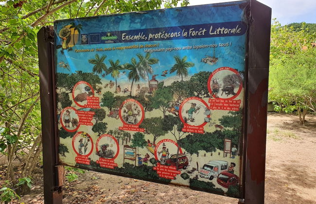 Studio abricot 309 - Foto 17