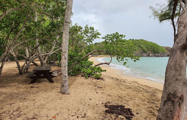 Studio abricot 309 - Foto 14