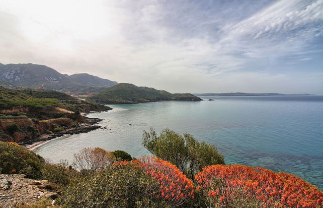 2 Ala Birdi Cottage 150m From The Beach - Foto 25
