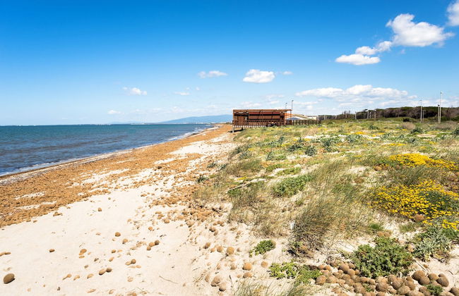 2 Ala Birdi Cottage 150m From The Beach - Foto 41