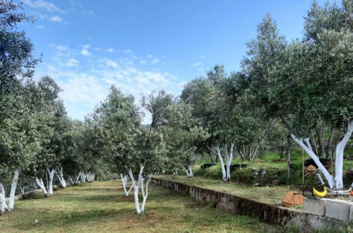 Photo 38 - Charming House With Nature View in Fethiye