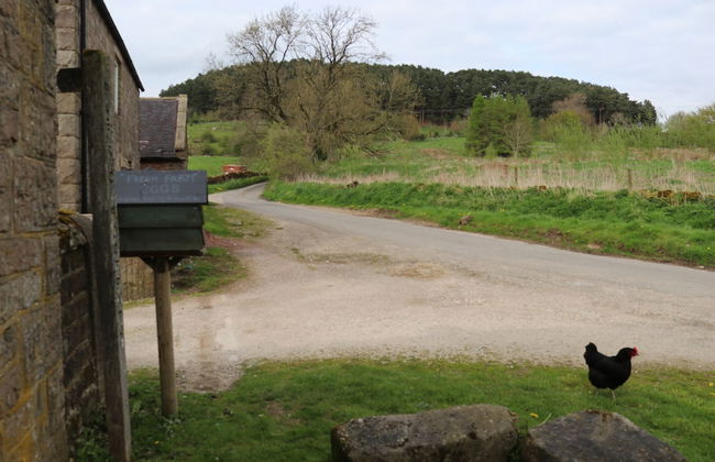 Gratton Grange Farm Holiday Cottage - Foto 27