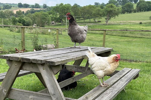 Photo 41 - Gratton Grange Farm Holiday Cottage