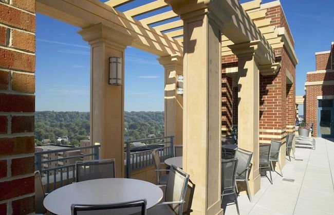 Nice Apt Great Views in Pentagon City - Foto 37