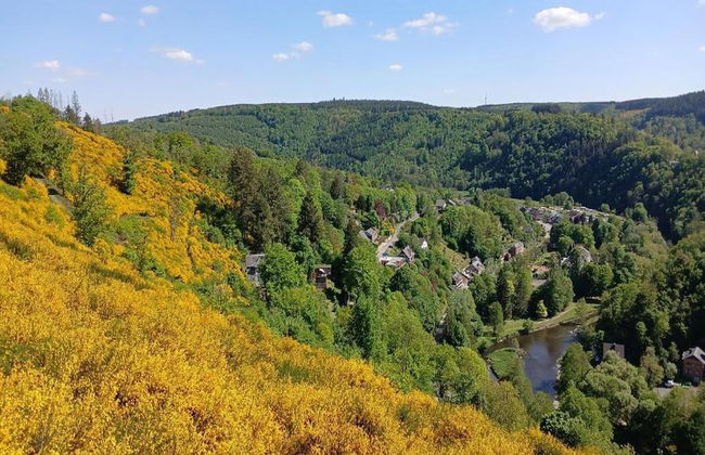Lodge in Ardennes Near La Roche Center - Foto 24