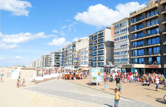 Ster Der Zee On Sea Shore - Foto 24