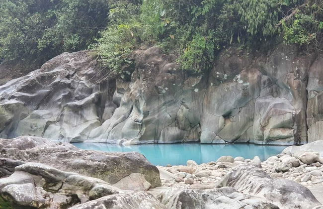 Selvática del Toro - Foto 35