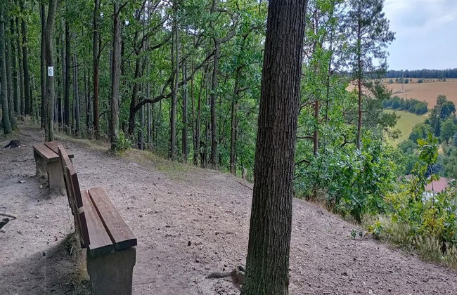 Ferienwohnung, Freital - Photo 21