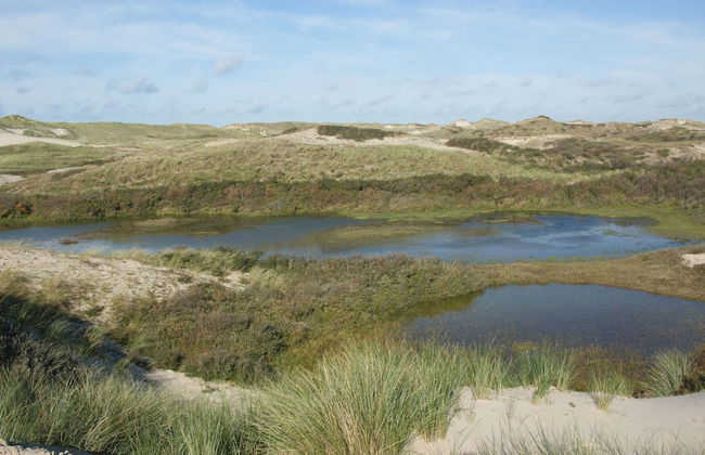 House in Schoorl Near Dunes and Beach - Foto 35