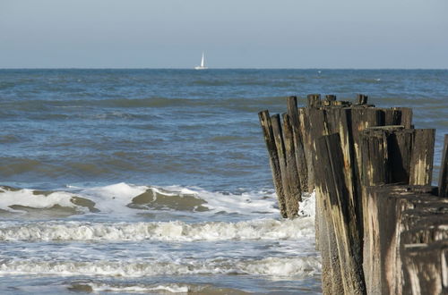 Photo 35 - Romantic Holiday Home in Schoorl Near the sea