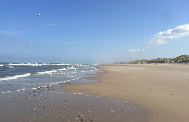 House in Schoorl Near Dunes and Beach - Foto 46