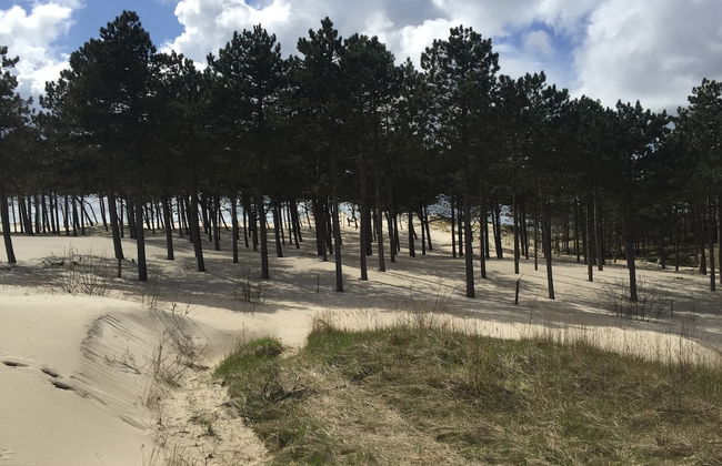 House in Schoorl Near Dunes and Beach - Foto 41
