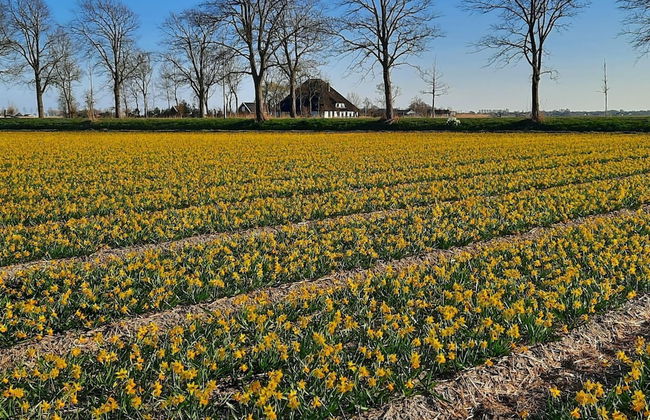 Spacious Holiday Home De Pauwenhof - Foto 51