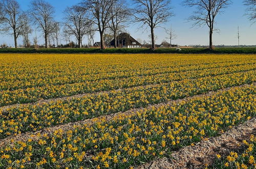 Photo 52 - Spacious and Sustainable Farmhouse in Heiloo With Large Garden