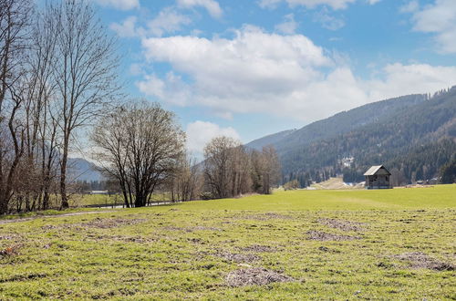 Photo 31 - Holiday Home in Carinthia Near ski Area