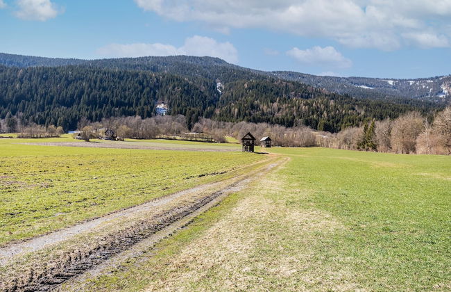 Holiday Home in Carinthia Near ski Area - Foto 28