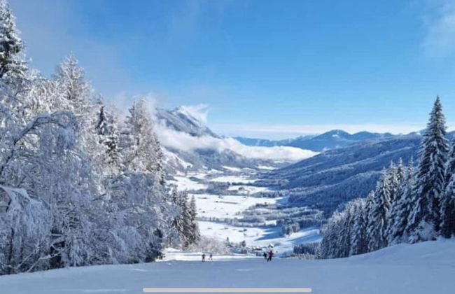 Holiday Home in Carinthia Near ski Area - Foto 30