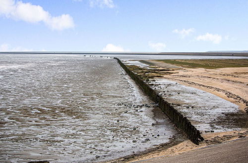 Foto 32 - 2 Luxury Mudflat Cottages Next to Each Other