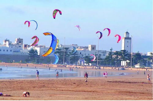 Photo 14 - Apartment in Essaouira 3 Minutes From the Beach