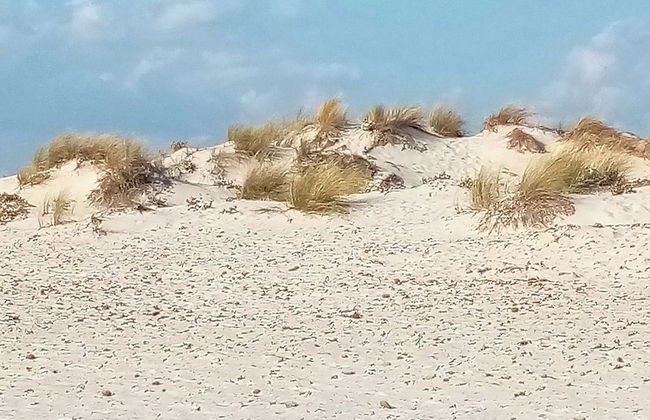 Sardinian Villa Enjoy Stintino With Your Pets ! - Foto 9