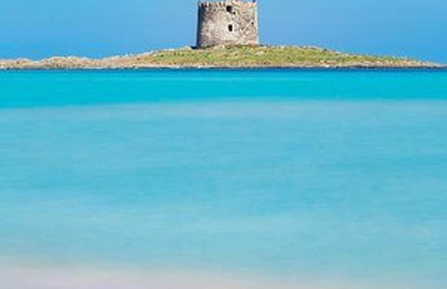 Sardinian Villa Enjoy Stintino With Your Pets ! - Foto 6