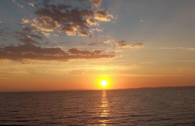 Sardinian Villa Enjoy Stintino With Your Pets ! - Foto 18