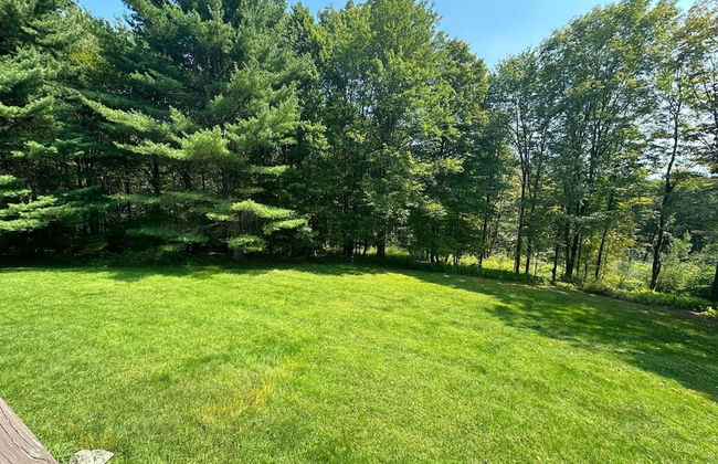 Catskills Spring 40 Acre Land With Forest Trails - Foto 1