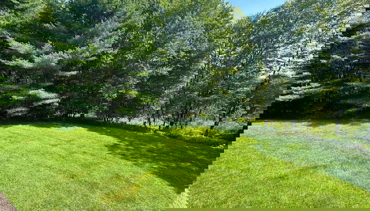 Foto 1 - Catskills Spring big Yard Forest Trails