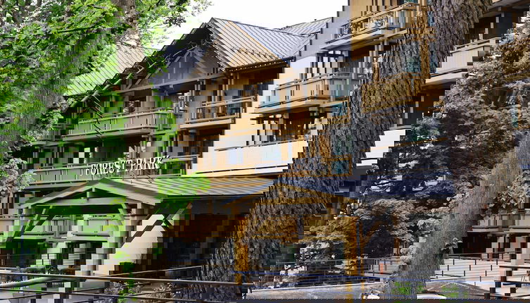 Foto 1 - Forest Park Resort & SPA