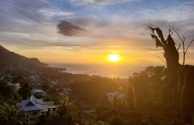 Wild Vanilla Apartment - Foto 1