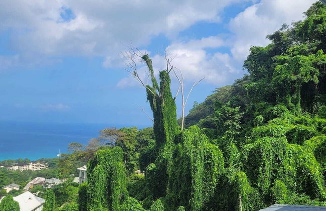 Wild Vanilla Apartment - Foto 59