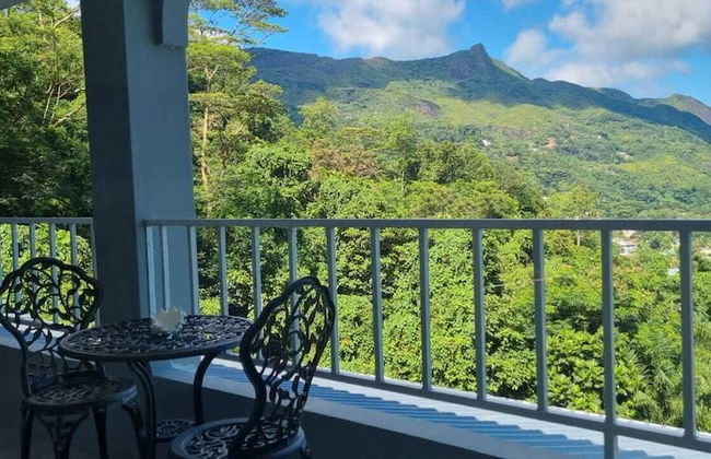 Wild Vanilla Apartment - Foto 55