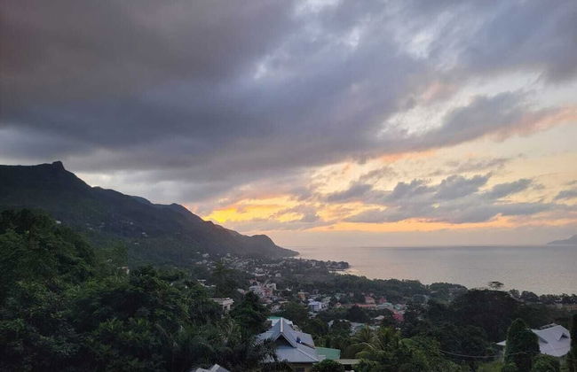 Wild Vanilla Apartment - Foto 52