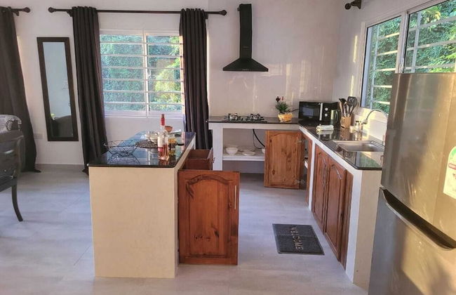 Wild Vanilla Apartment - Foto 12