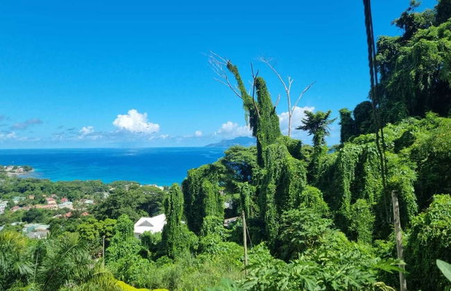 Wild Vanilla Apartment - Foto 48