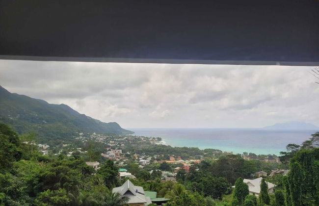 Wild Vanilla Apartment - Foto 51