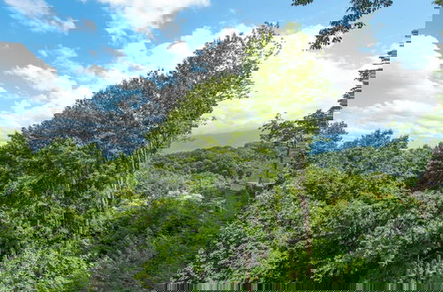 Foto 11 - Birdsong