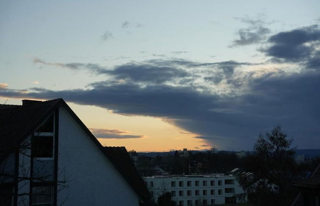 Gasthaus Adler - Foto 5