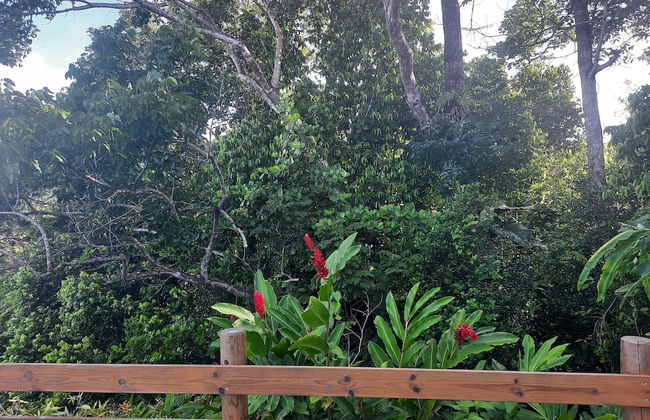 Les roses de porcelaines - Foto 7