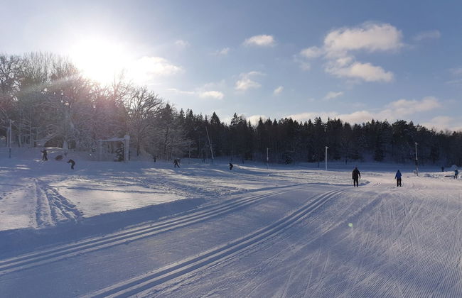 Gesta Attefall in Gesta - Foto 17