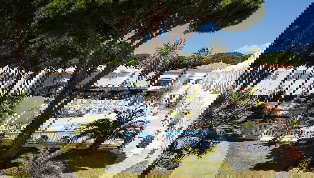 Image principale