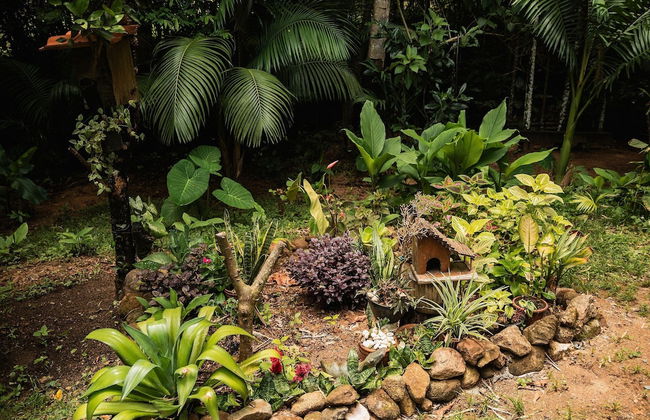 Sitio Cantinho Vovó Cida e Vovô Nilson - Foto 23