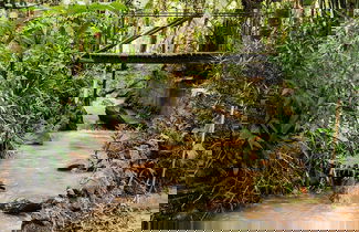 Foto 2 - Sitio Cantinho Vovó Cida e Vovô Nilson