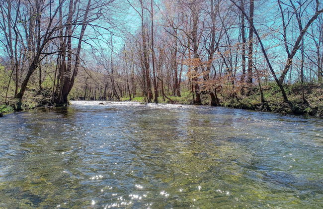 Creekside Memories - 2 Bedrooms, 2 Baths, Sleeps 6 Cabin by RedAwning - Foto 13