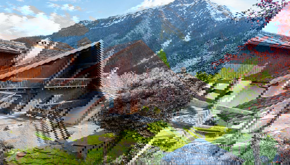 Primary image